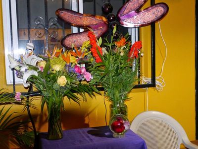 P1000226-edited.JPG