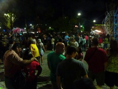 P1030334.JPG