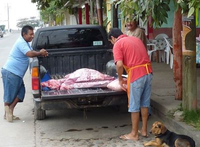 P1010089.JPG