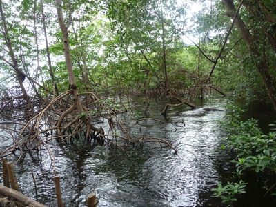 120131464.jpg