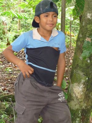 120131490.jpg