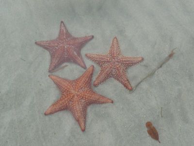 120132159.jpg