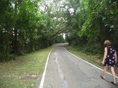 120132424.jpg
