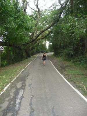 120132425.jpg