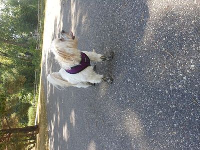 DSCN4064.JPG