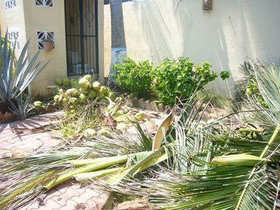 P1090354.JPG