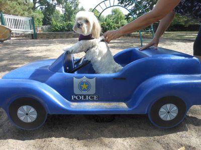 riley 012.JPG
