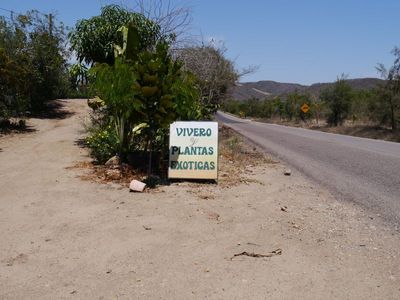 P1000140.JPG