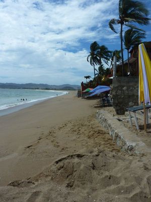 P1030250.JPG