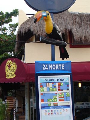 74164981.jpg
