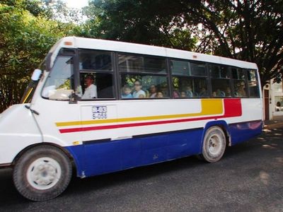 75100854.jpg