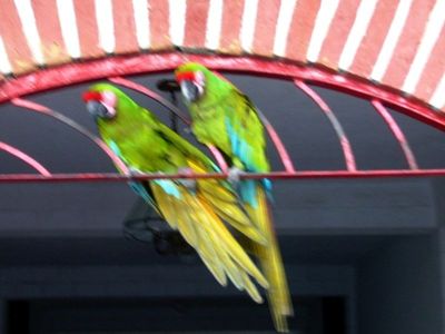 75100909.jpg