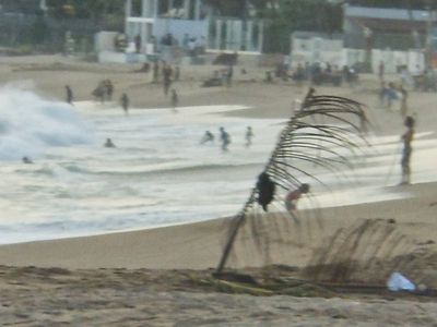 sheep at the beach 009-edited.JPG