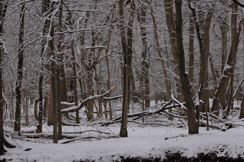 Saddle River Pathway