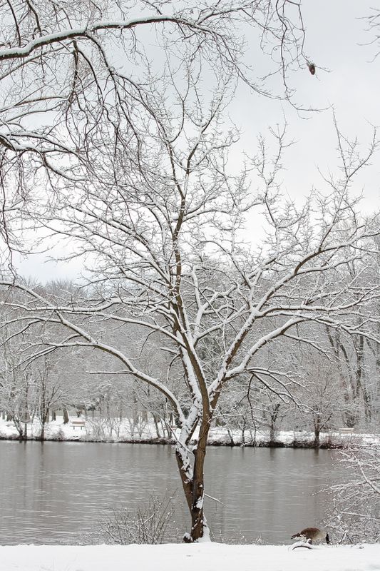Saddle River Pathway