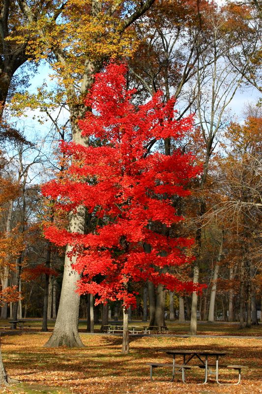 Saddle River Pathway