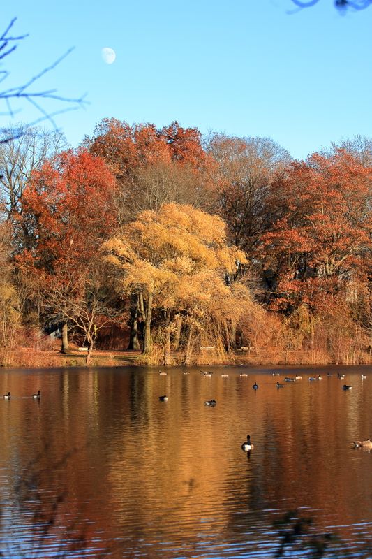 Saddle River Pathway