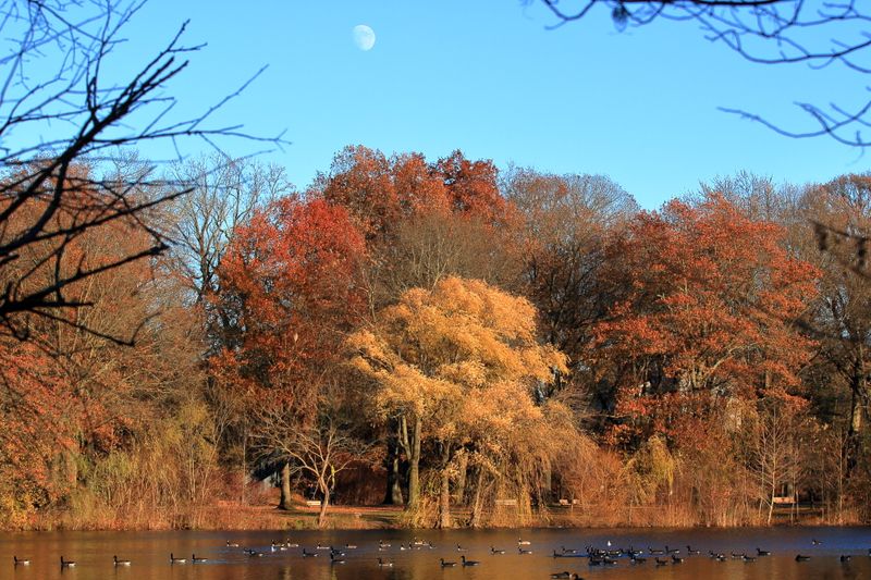 Saddle River Pathway