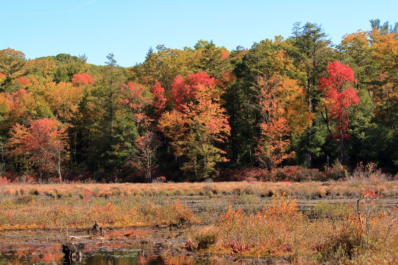 Harriman State Park