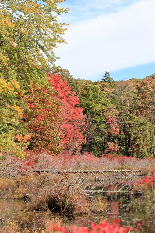 Harriman State Park