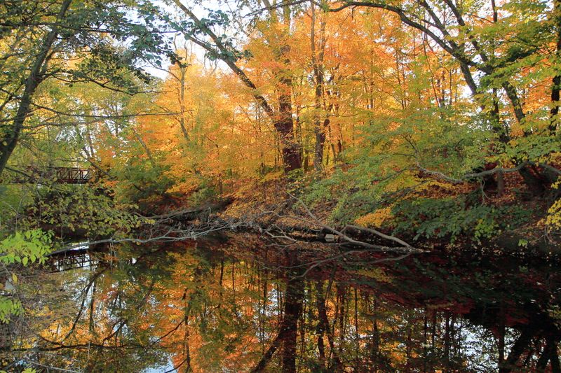 Saddle River Pathway