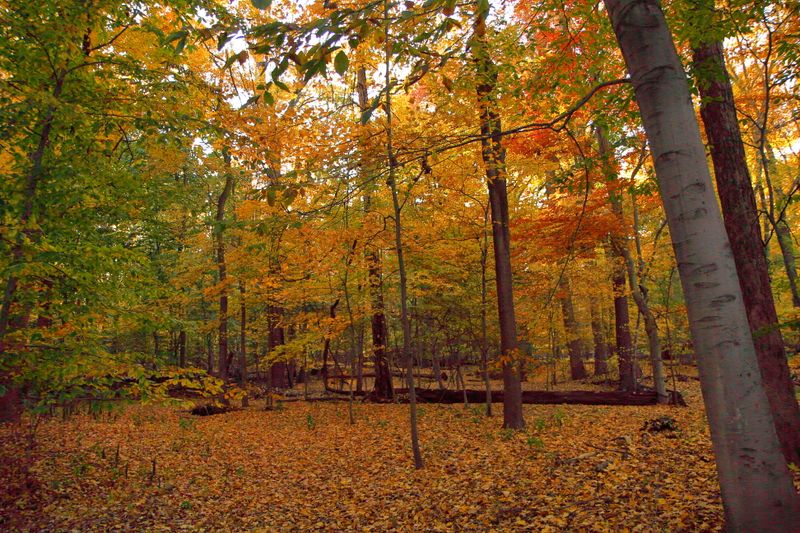 Saddle River Pathway