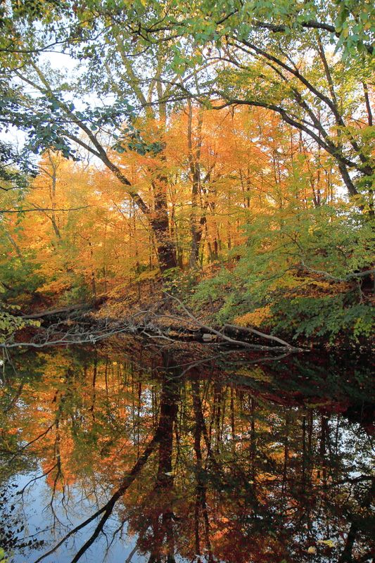 Saddle River Pathway