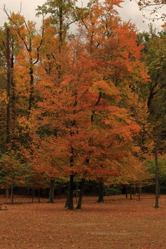 Franklin Lakes