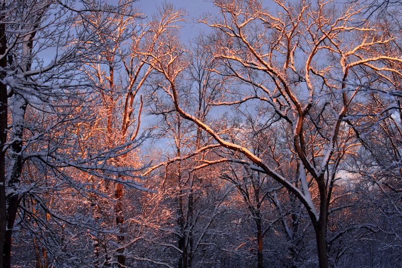 Saddle River Pathway