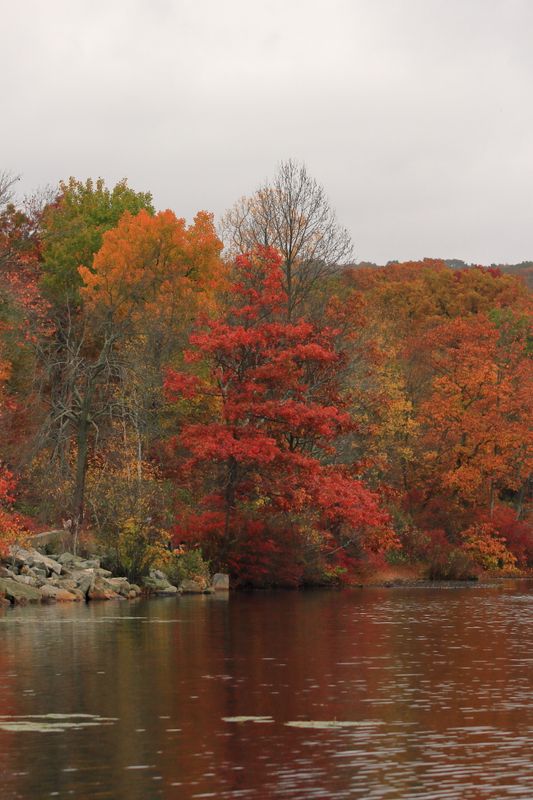 Ramapo Lake
