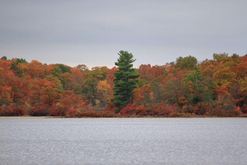 Ramapo Lake