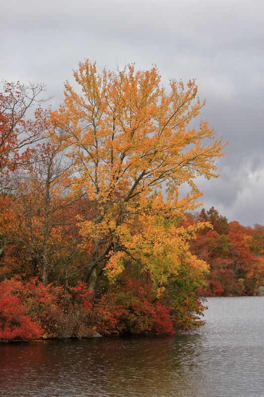 Ramapo Lake
