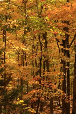 Harriman State Park