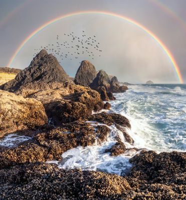 IMG_98vz62-Pano.jpg