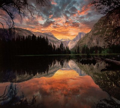 Flood Field 