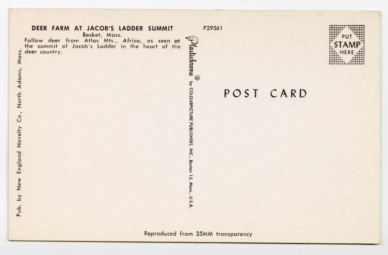 Deer Farm at Jacobs Ladder Summit reverse