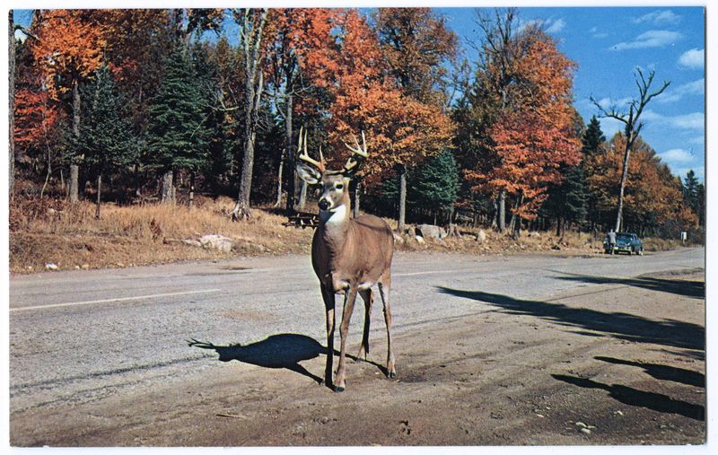 Greetings from Jacobs Ladder, Mass.