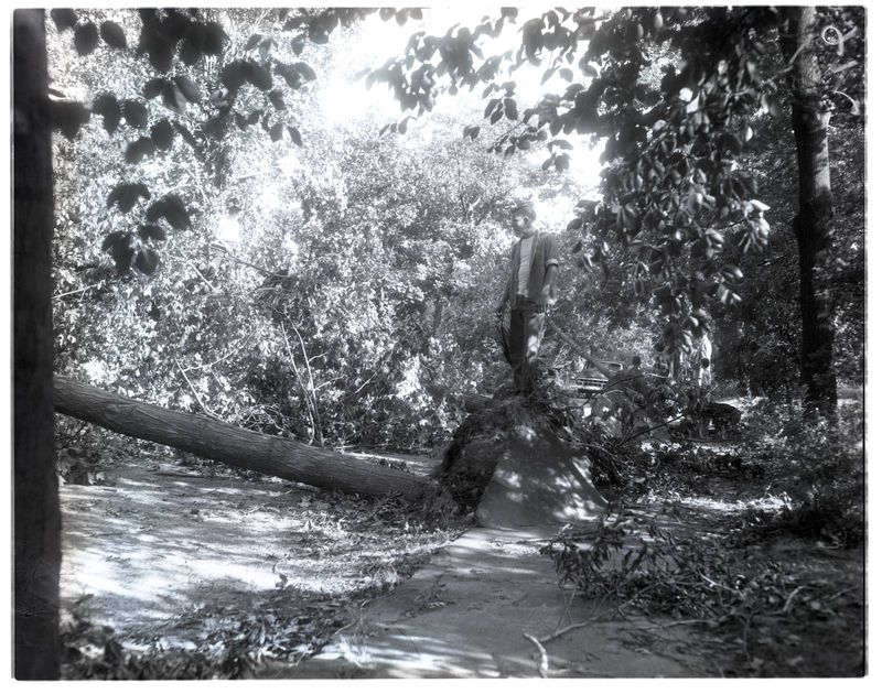 Hurricane Carol Sep 1954 (Myett)