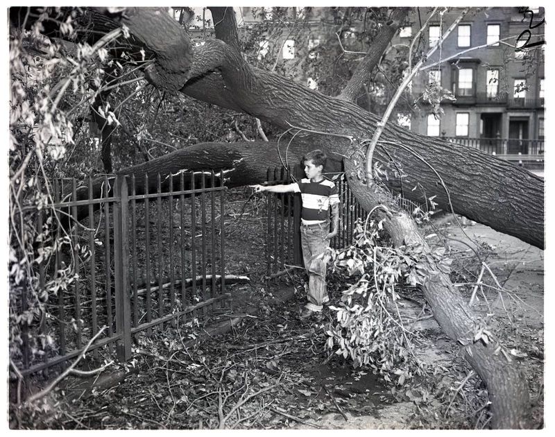 Hurricane Carol Sep 1954 (Myett)