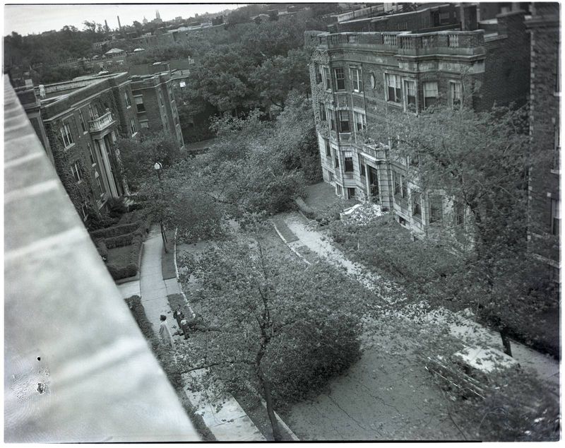 Hurricane Carol Sep 1954 - Boston or Brookline?