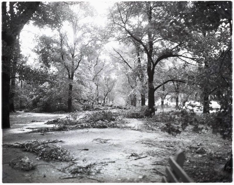 Hurricane Carol Sep 1954 - Boston?