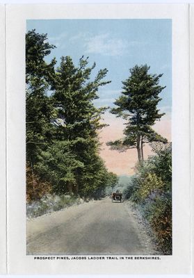 Prospect Pines, Jacob's Ladder Trail in the Berkshires