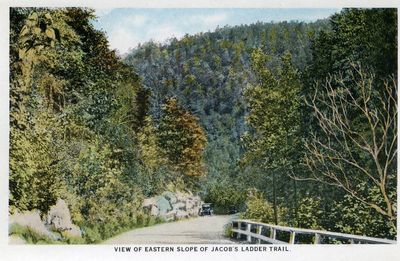 View of Eastern Slope of Jacob's Ladder Trail.