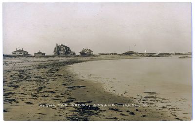 Along the Beach, Acoaxet, Mass. 43