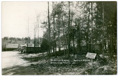 Warner's Grove. Lithia Mass. Berkshire Trail..jpg