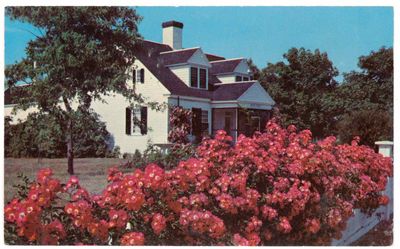 Cape Cod Cottage & Roses, Provincetown, Mass..jpg