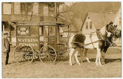 Watkins Remedies (Readsboro)