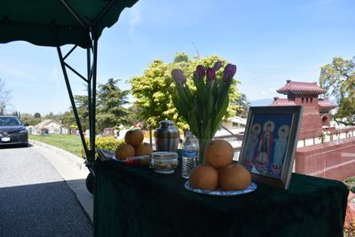 In memorial of my Mother Mrs.Nghiem Thi Nguyen 04/05/2023 
