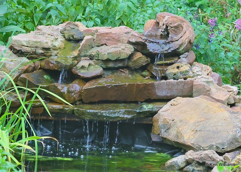 Water Fall, Rogers Co yard, 8-17-22a2_0L0A0101.jpg