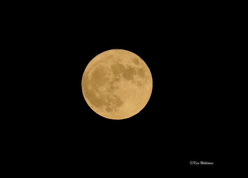Full Moon, Paradise, AZ, 8-30-2023_7865Dz.jpg